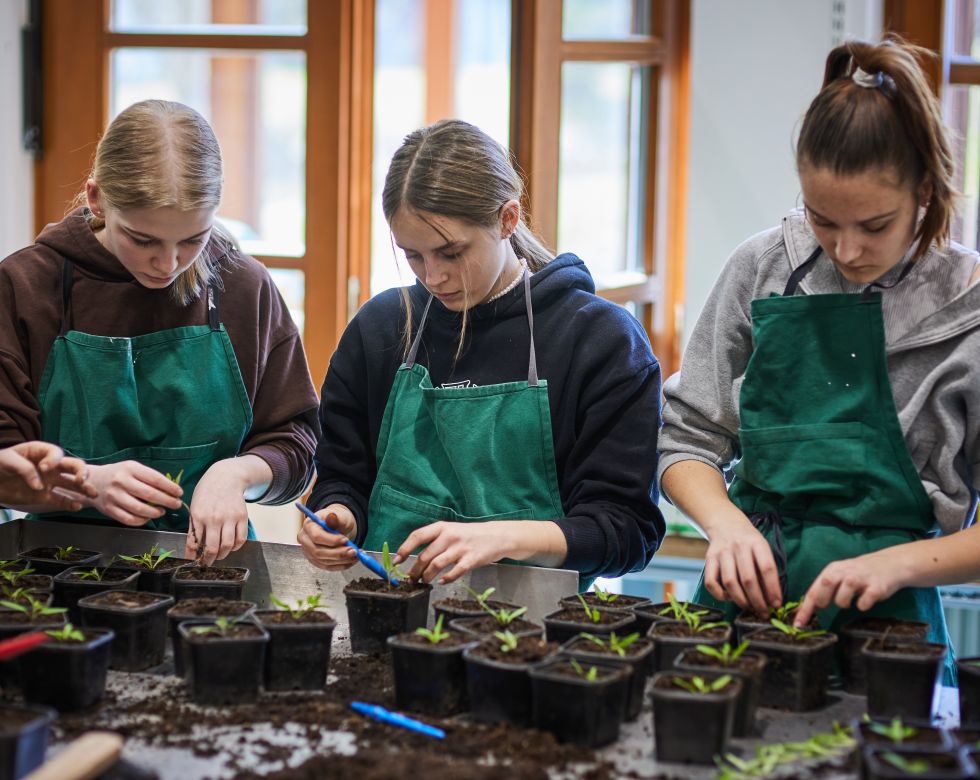 Eine Gruppe von Jugendlichen, die konzentriert in einem Klassenzimmer Setzlinge in Töpfen pflanzt.