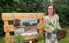 Eine Caritasmitarbeiterin bei der ersten Ernte bei einem Beet.