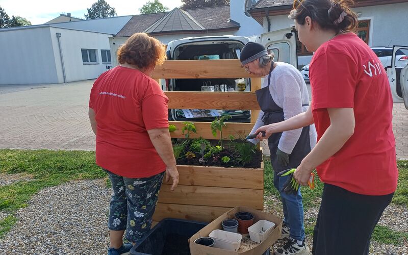 Drei Personen beim Aufbau und Bepflanzen von einem der Beete