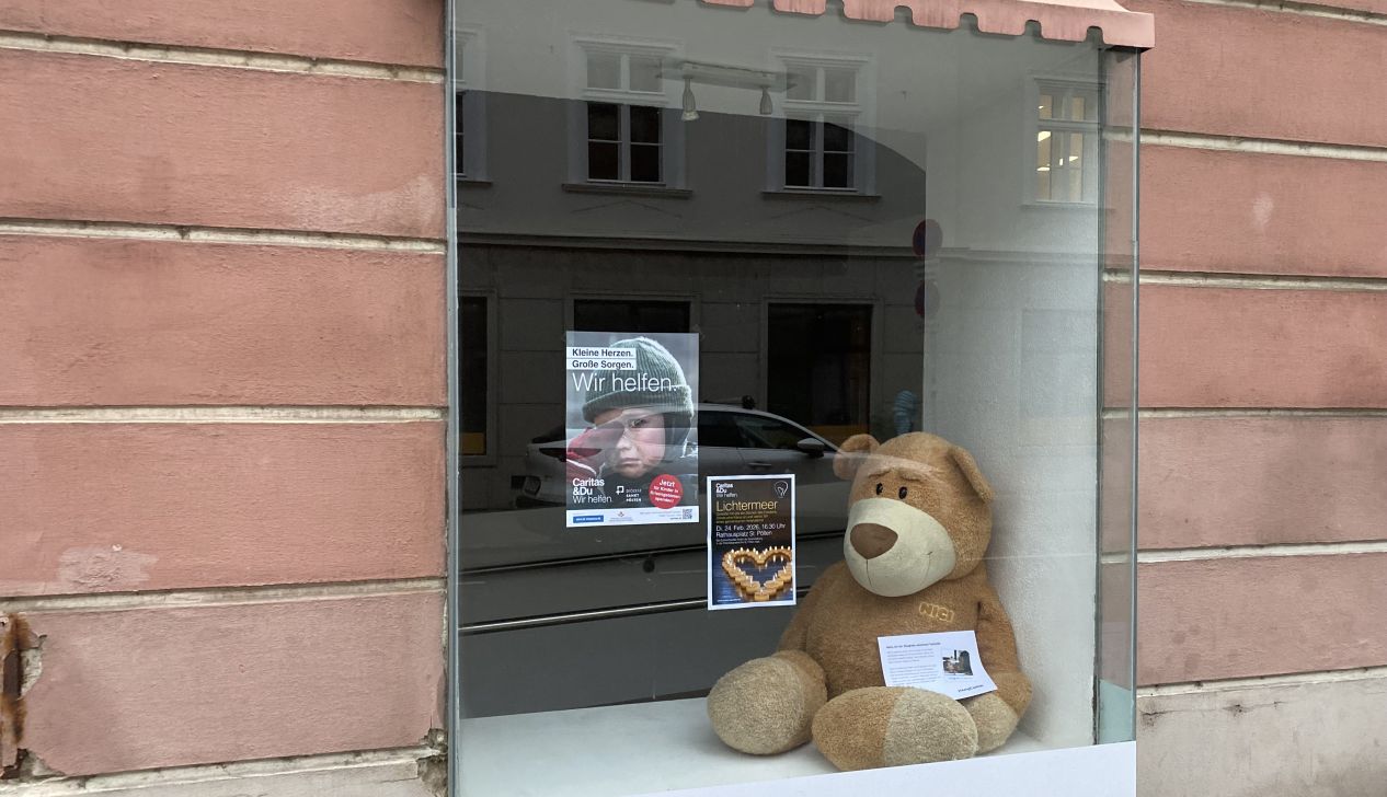 Ein großes, braunes Plüschtier sitzt in einem Schaufenster mit einem Hilfeposter im Hintergrund.