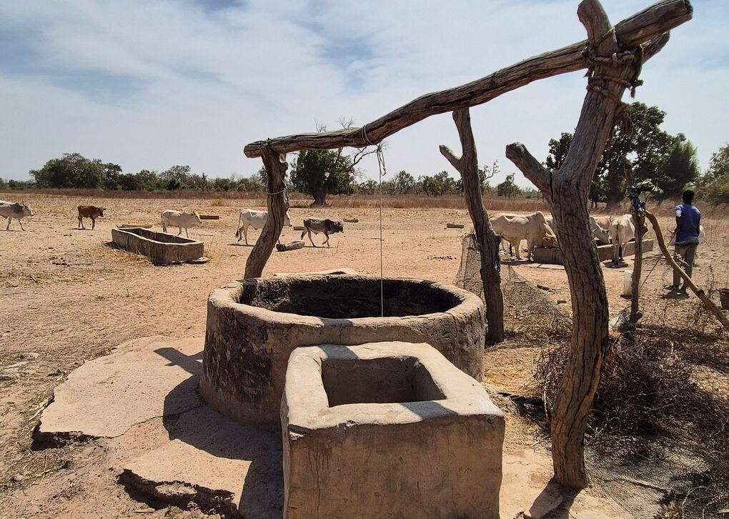 Ein traditioneller Brunnen in einer trockenen Landschaft, umgeben von Vieh und Bäumen, unter einem klaren Himmel.