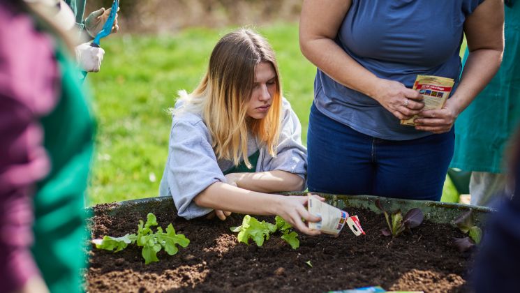 Eine Gruppe von Menschen, die Samen in einem Garten pflanzen, während eine Person konzentriert arbeitet und anderen zuschaut.