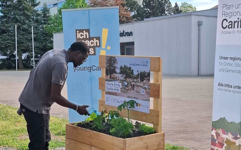 Eine Person beim Gießen bei einem der Beete