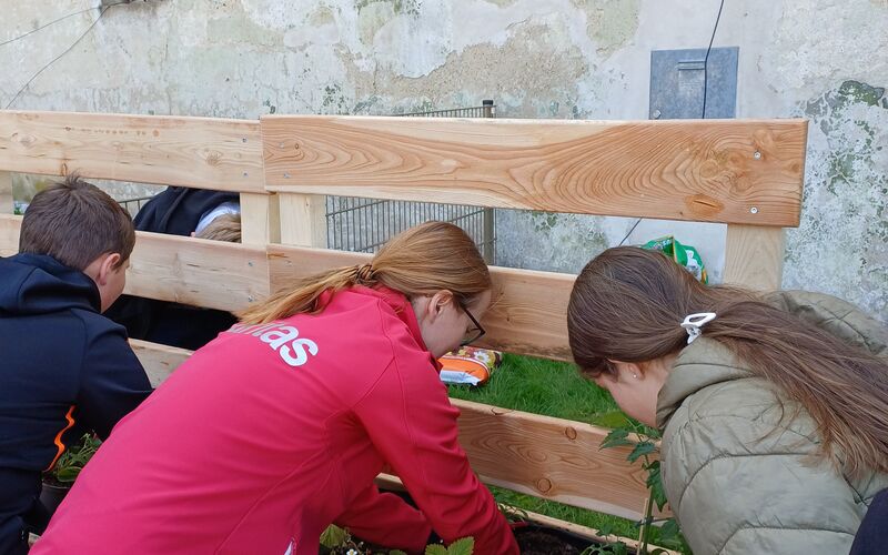 Eine Mitarbeiterin der Caritas und zwei Schüler*innen setzen gemeinsam Pflanzen in einem der Beete ein.